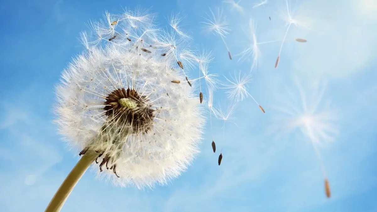 松开“不变”，变化自然来