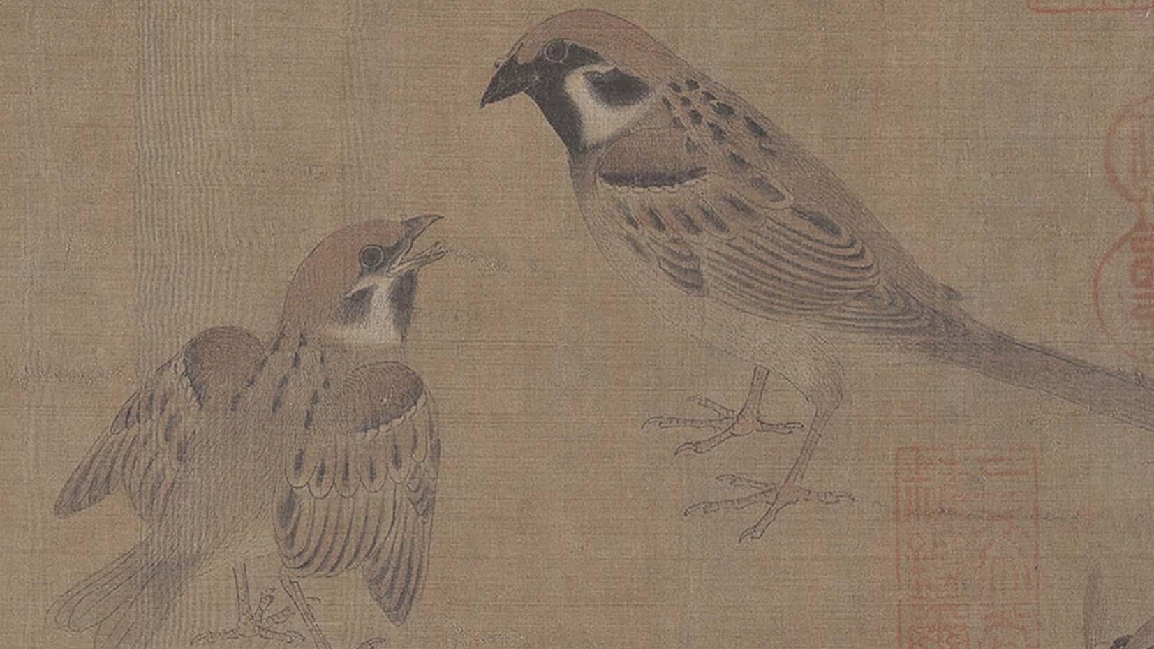 『集古名绘』黄家富贵，仿作亦珍：现存最早的教习范本《写生珍禽图》