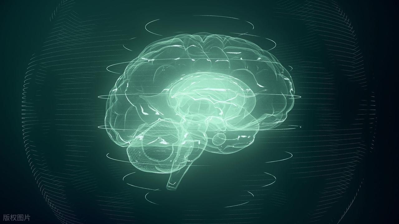 最早的神经系统，如何改变了进化速度？