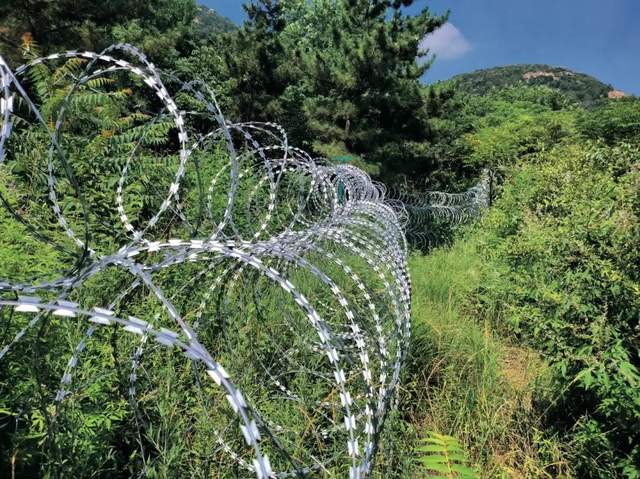 泰山“刀片网”，拆！