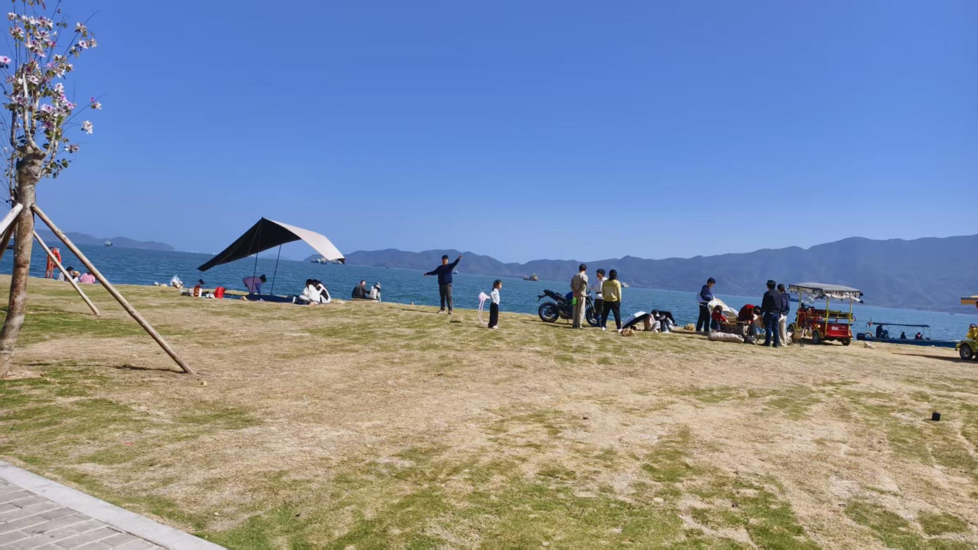 逃离深圳！花100块，在惠州小桂找回打工人的松弛感✨