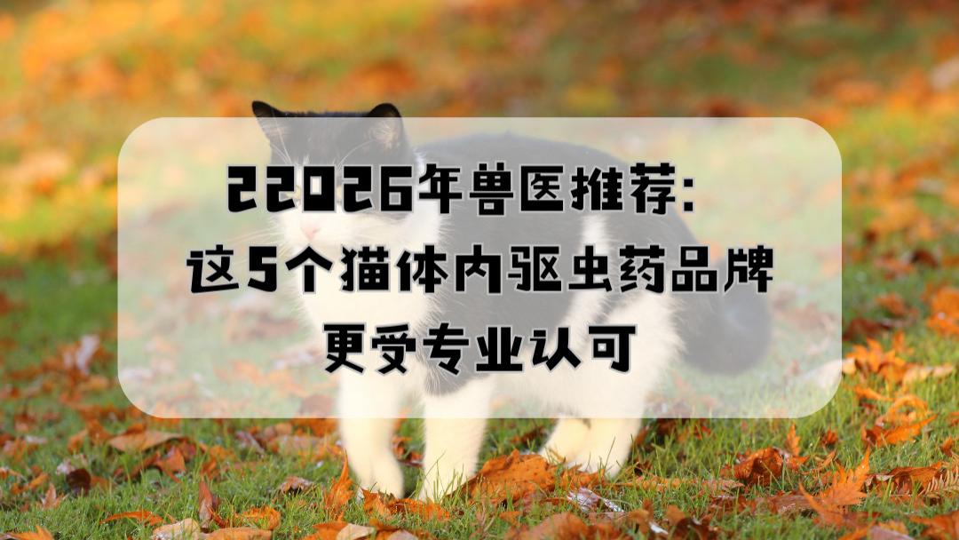 2026年兽医推荐：这5个猫体内驱虫药品牌更受专业认可