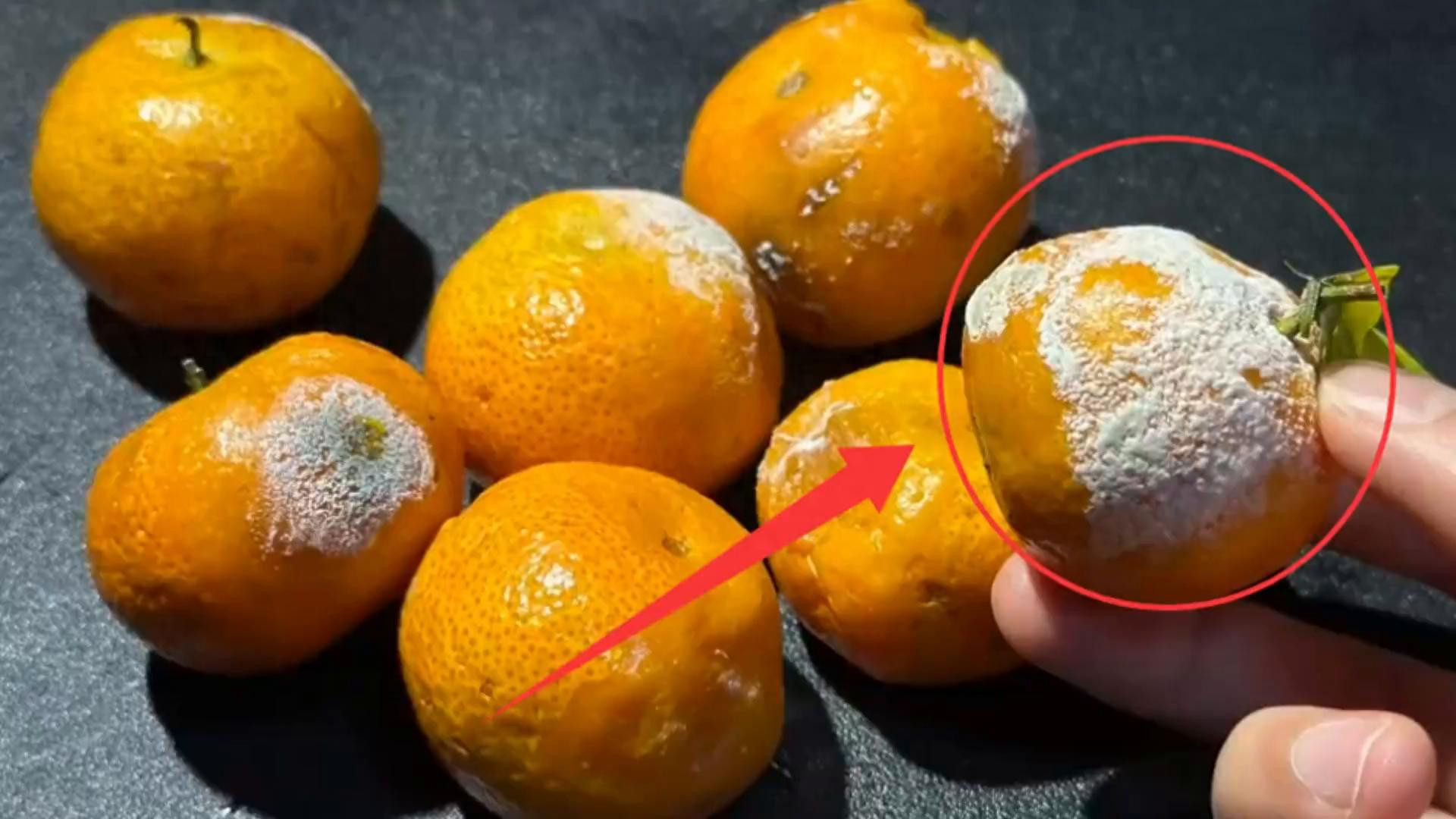 烂掉的橘子别扔了，没想到作用这么厉害，拿钱都难买，早知早受益