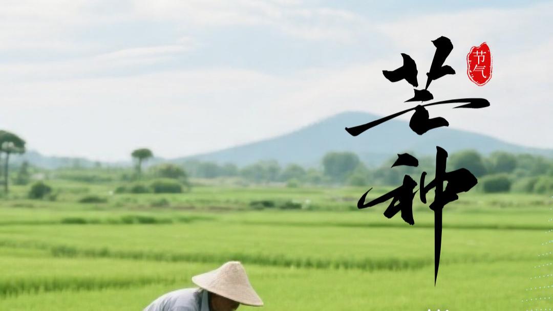 芒种｜播种希望，备份未来