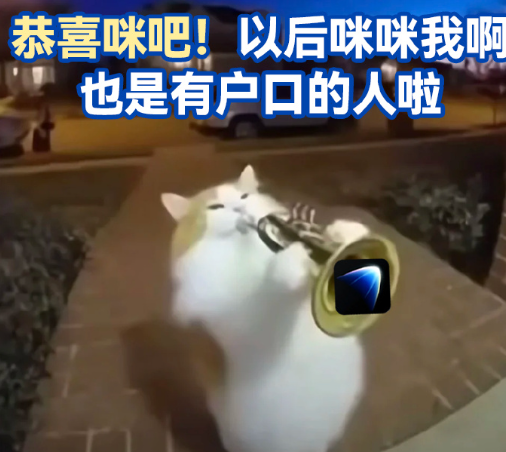 好大学的隐形福利藏在细节里：深夜实验室的暖灯、导师私下的推 荐 信、食堂悄悄涨的