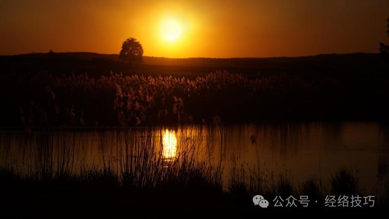 肝气一通，全身都松！一个动作3分钟，把郁结的肝气推出体外，心情也变好了