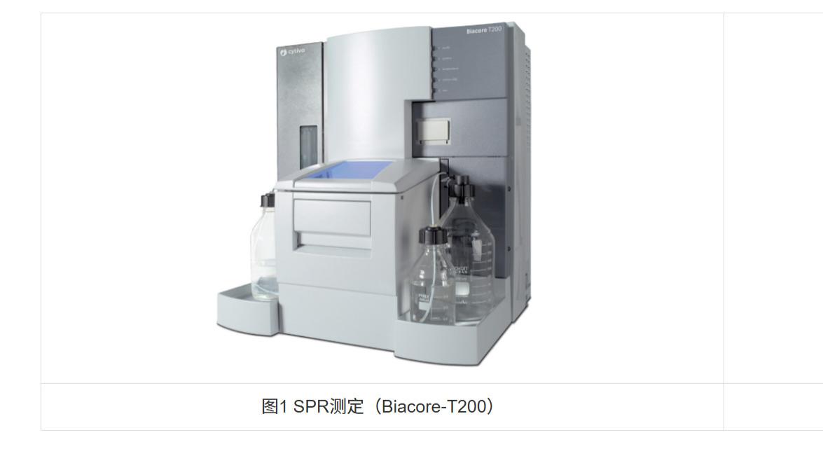 抗体亲和力测定：SPR与BLI技术对比解析