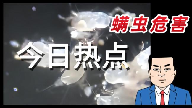 最好的除螨仪是哪个牌子？除螨仪需要多大功率合适? 十款公认好用的除螨仪牌子测评，一文讲清