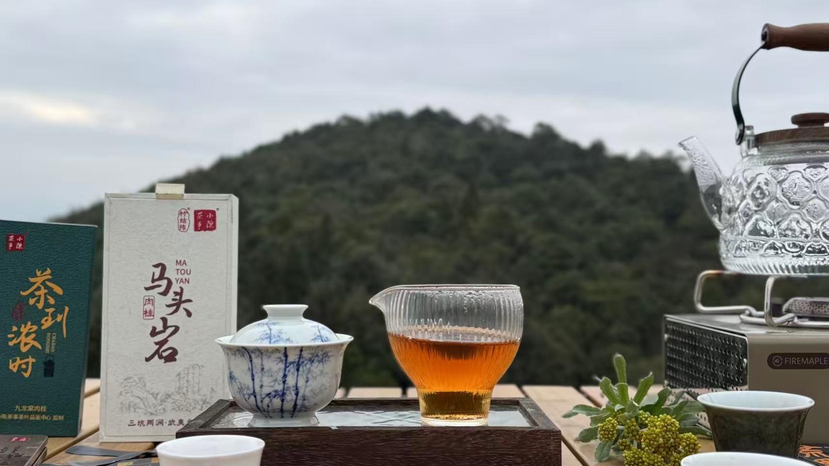 武夷岩茶，一定要香气冲天、茶味刺激的才算好茶？