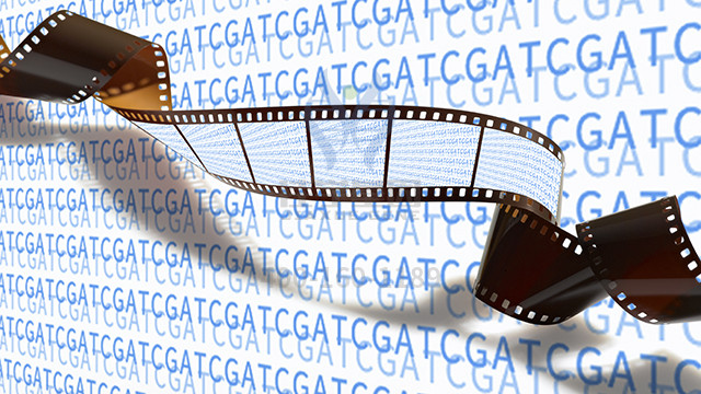 基因检测如何选择镰状细胞性贫血症的靶向治疗药物？