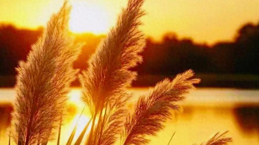 万事要留白，人生求满，适度中守心，节制中前行