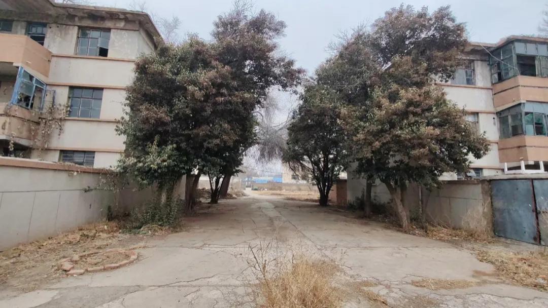 逛遍德州：探秘德州部队医院老宿舍，历经沧桑变迁，到了里面发现也很拉风