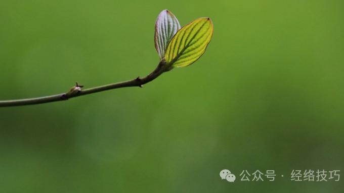 这样压压腿，每天5分钟，把脾经慢慢揉开，湿气悄悄“溜走”