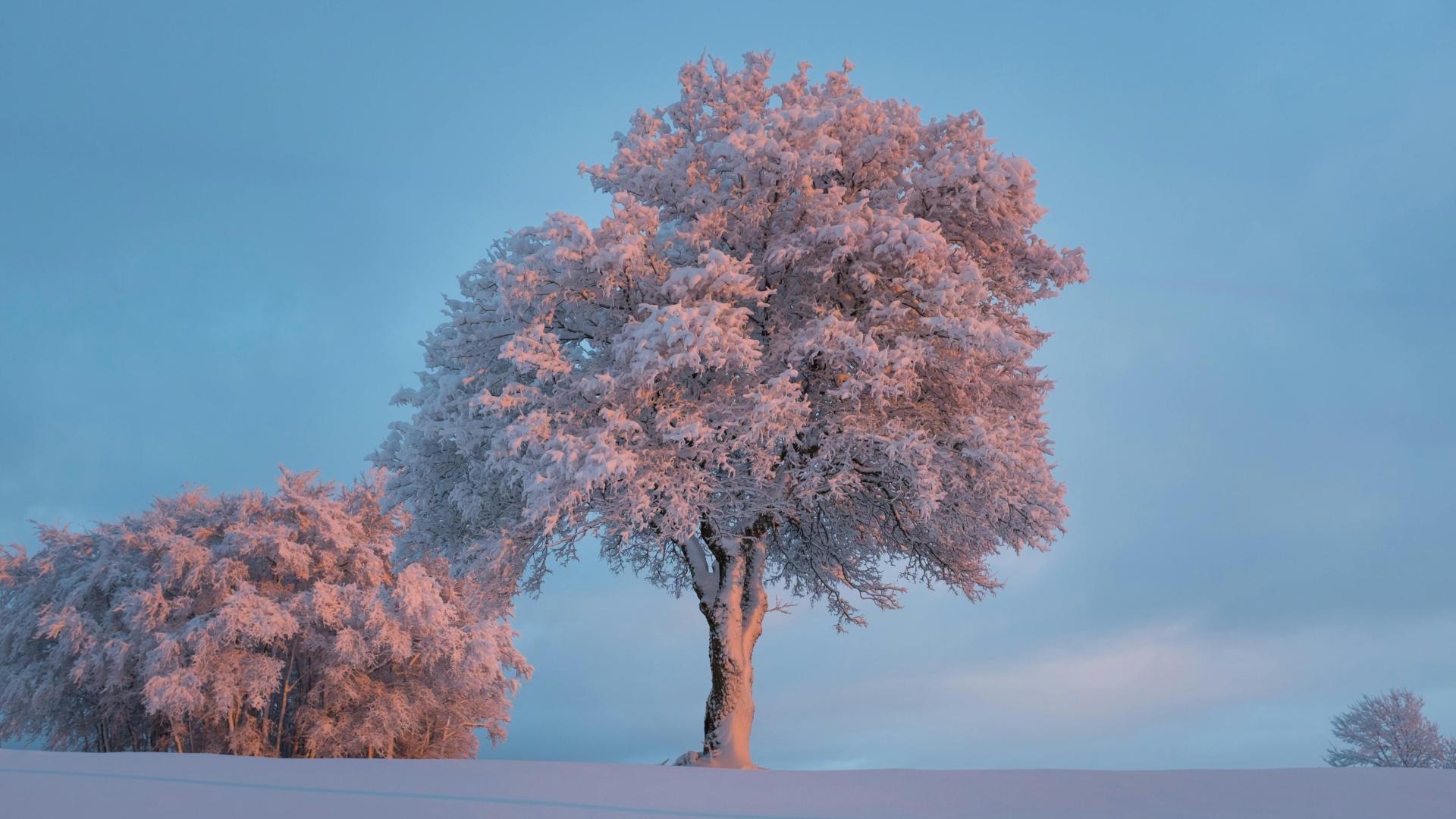 《业力管理》：财富的种子，不是埋在银行里，而是埋在你帮助他人的每一个行动中