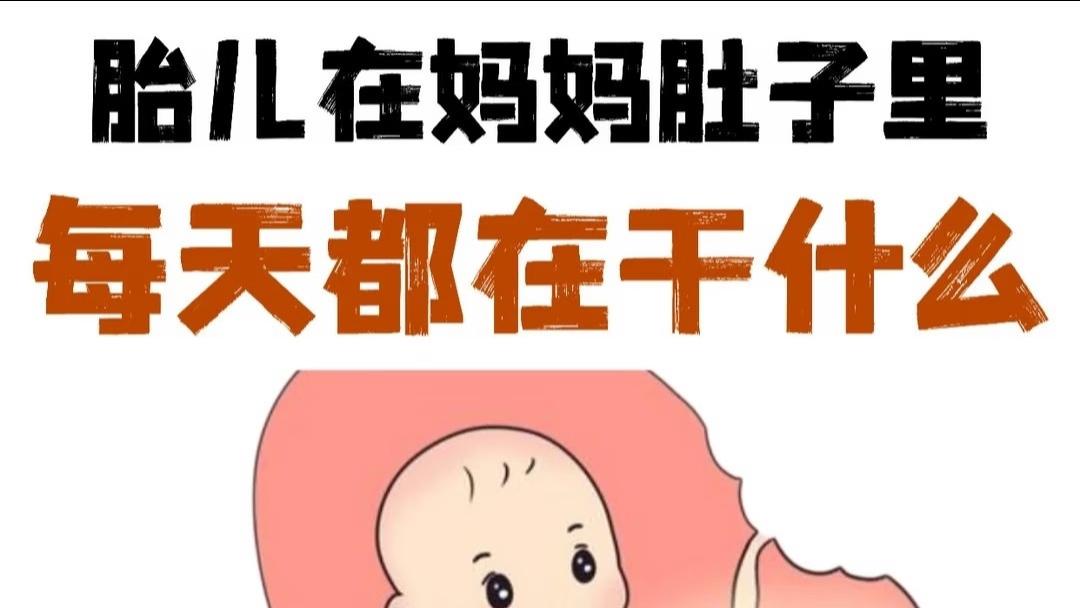 胎儿每天都在肚子里做什么？
