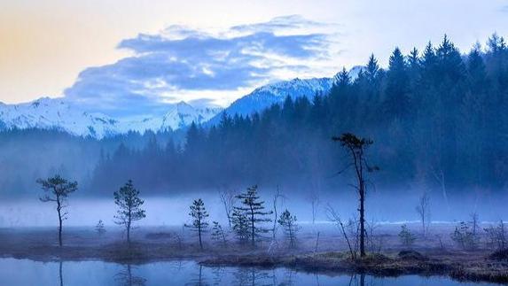 汪缘堂谈闻喜不喜格的喜忌及其行运要求