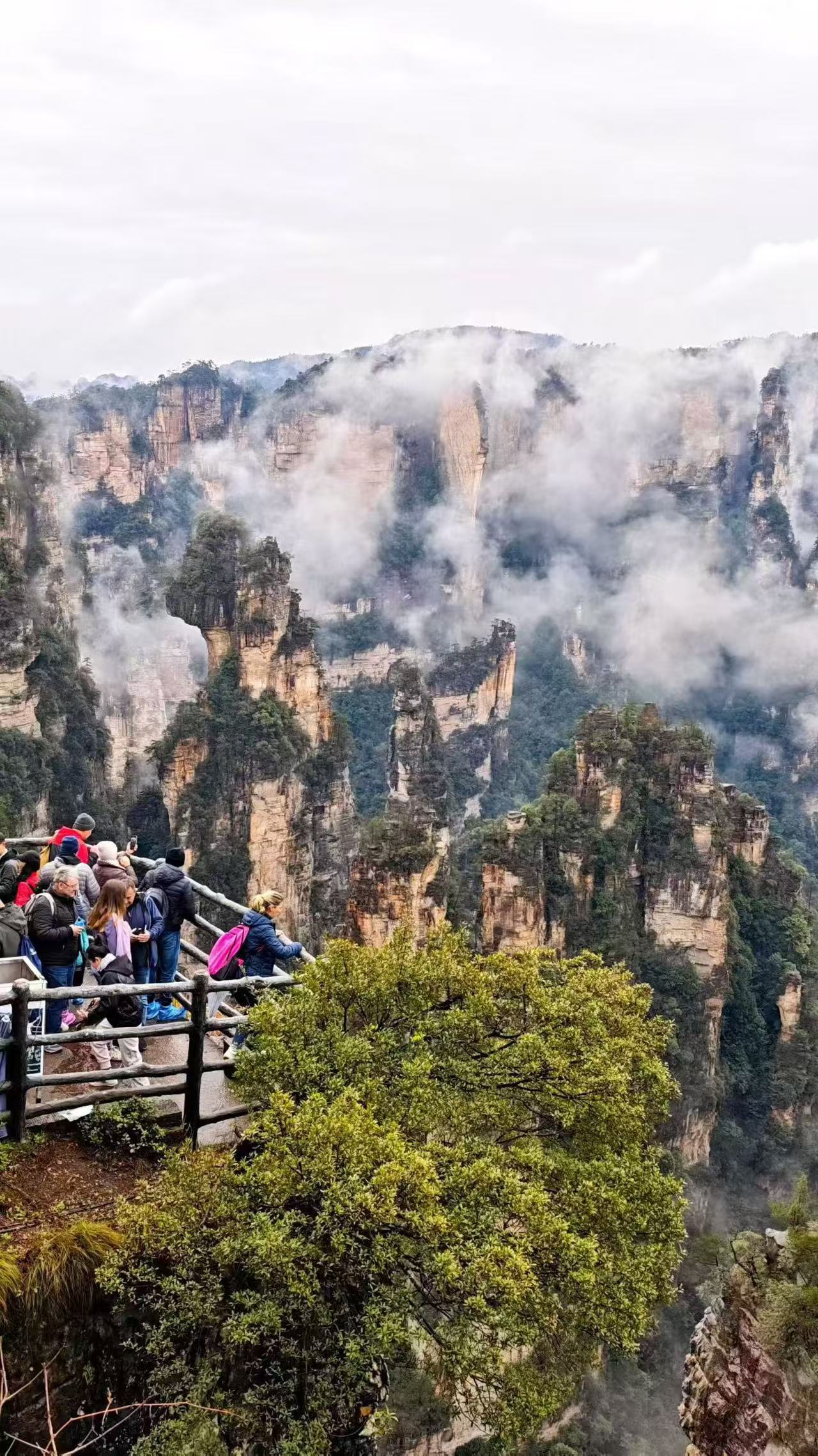张家界春日美景｜御笔峰打卡攻略🌿