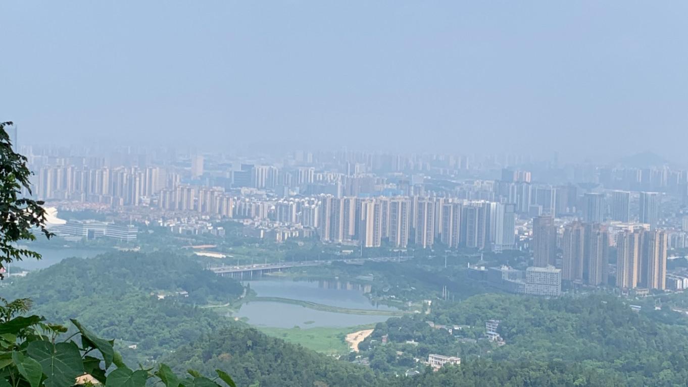 2026年每日通盛及各生肖运势3月11日