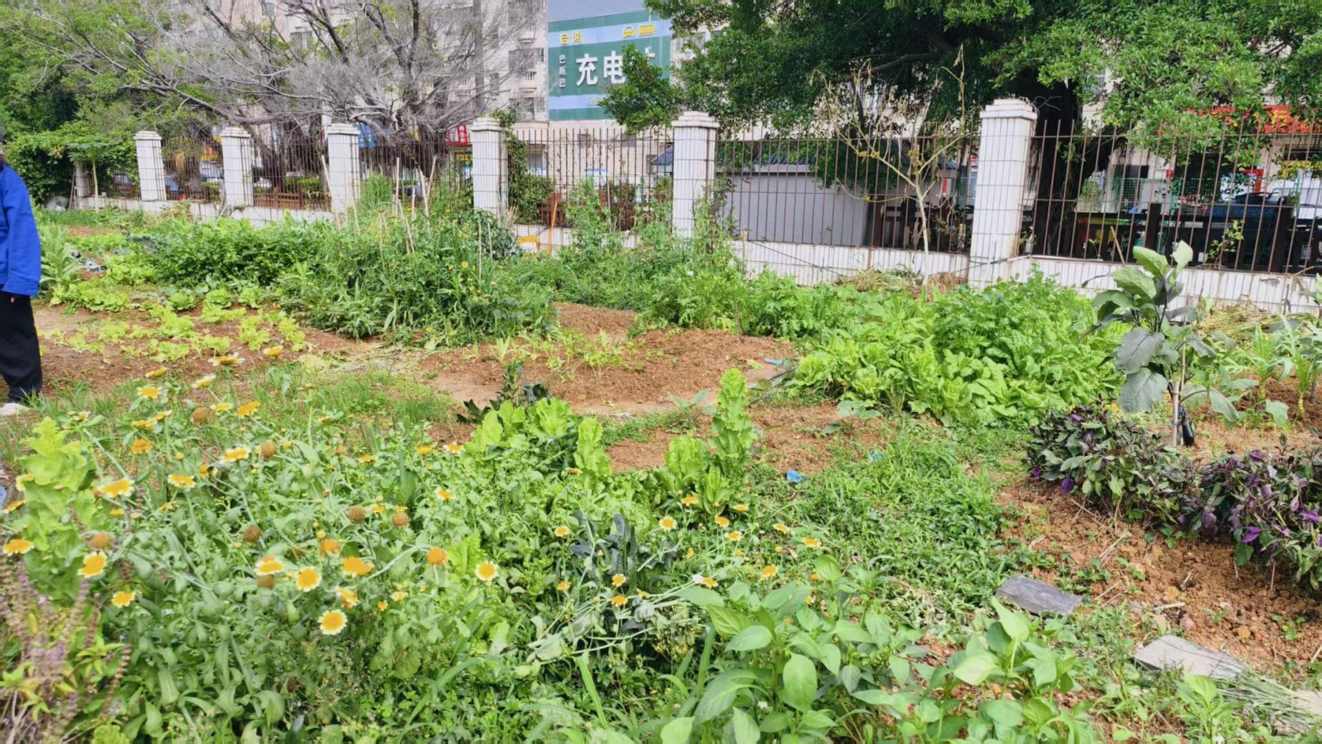 宝妈兼上班族必看！3个零成本平台，碎片时间也能赚零花钱