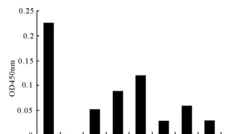 噬菌体展示技术与随机多肽文库：原理、构建及应用
