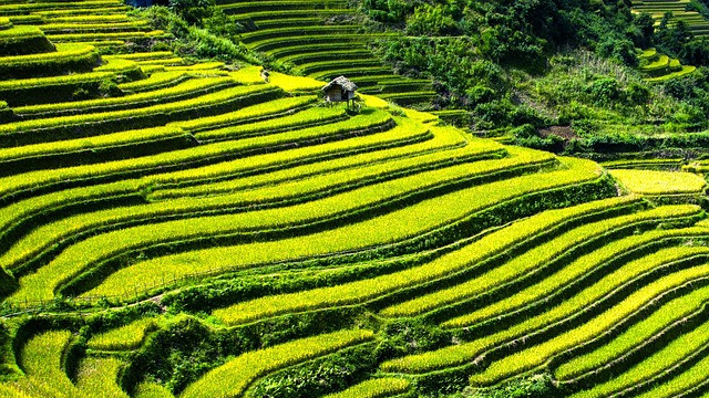 如何判断土壤肥力和酸碱性