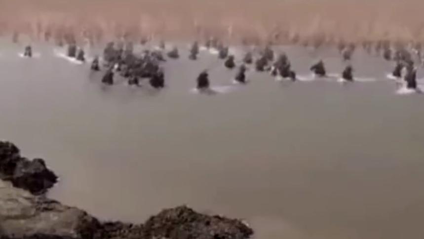 不是兵力碾压！沙苑之战的真相，是高欢的固执葬送了二十万大军