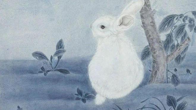 生肖兔，2026年春分：3月20日-4月4日易着急，上火，勿生口舌！