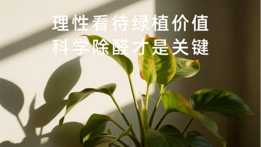 绿植除甲醛真的有用吗？实验数据给出真实答案