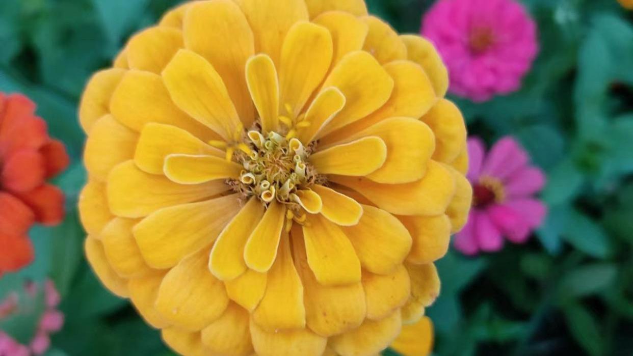 旺自己的3个玄学习惯，坚持下来，好运不请自来