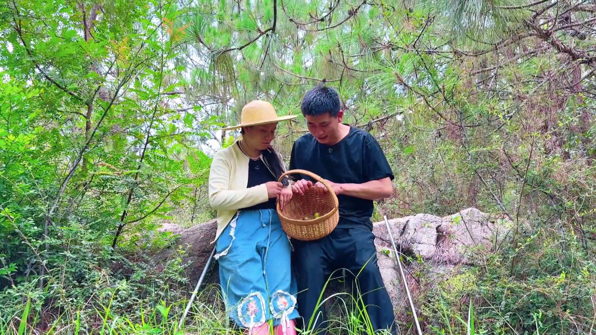 小夫妻进山捡菌一朵没找到，竟收获意外惊喜！