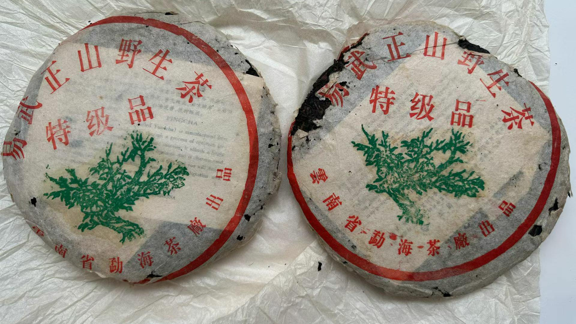 2002年易武正山一棵树，厂版绿大树，纯正细腻的易武气韵