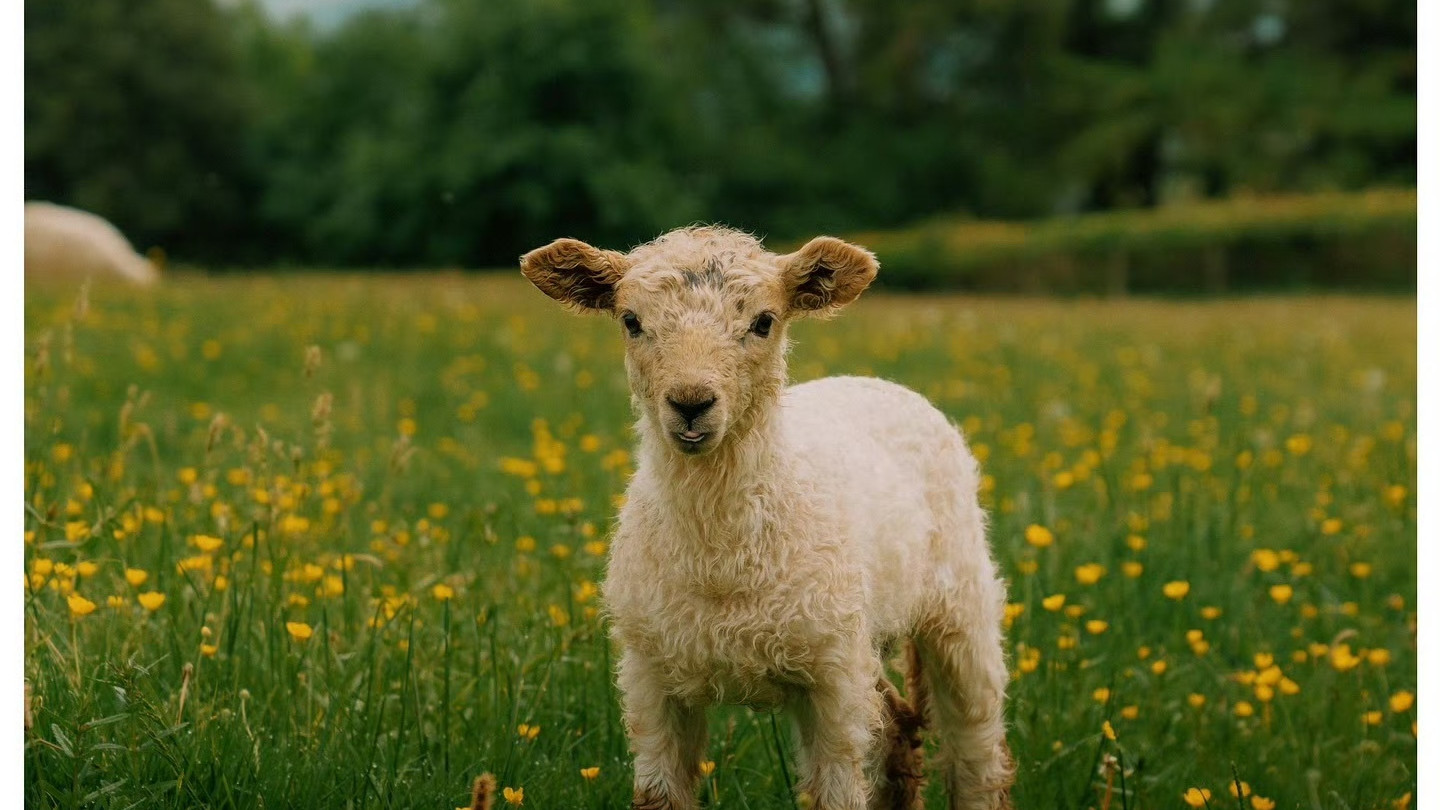 每周推荐 | Daniel Casson 春