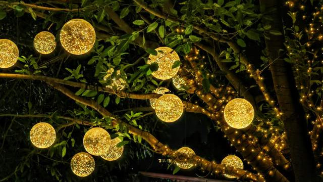 龙星在天：上古中国的天文纪年密码