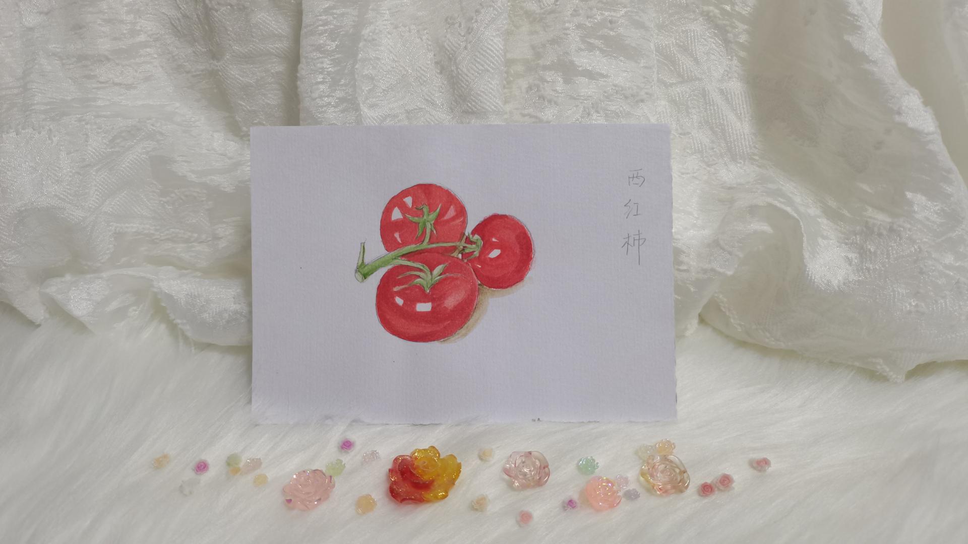 24 红果西红柿（果花甘07）