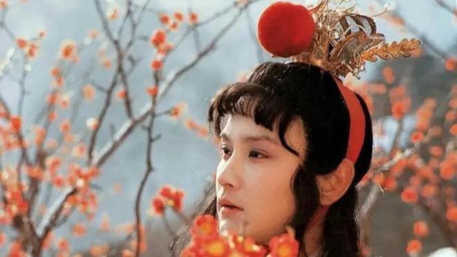 87版《红楼梦》贾宝玉：演员从艺术牺牲到资源争夺