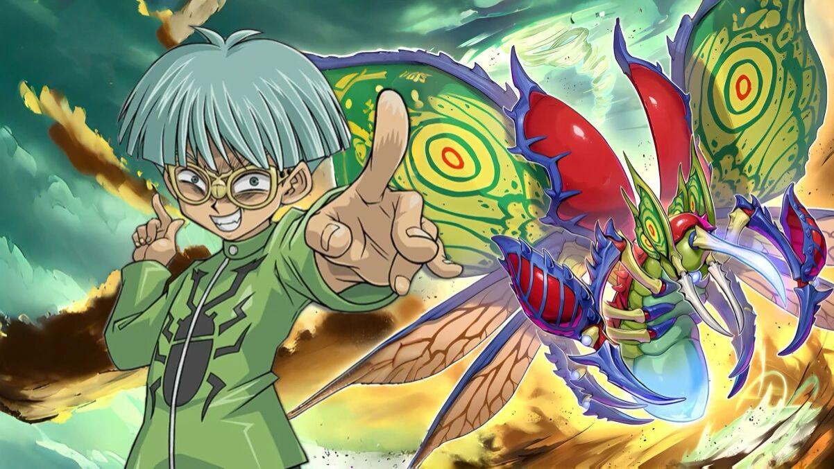 《游戏王》昆虫进化论卡组——昆虫羽蛾！