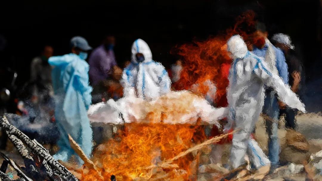 说说印度的尼帕病毒