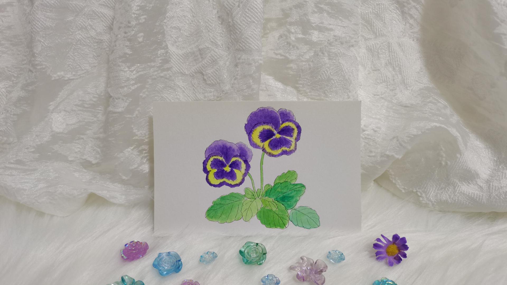 57 三色堇（绘画 水彩 果花甘06）