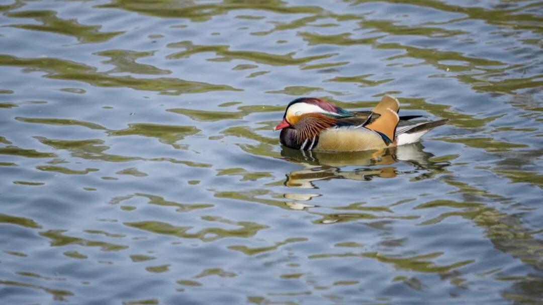 春天总犯困是怎么回事？