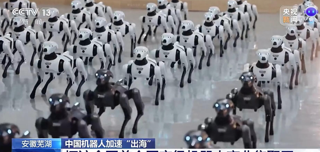 中国机器狗出国当安保，中国机器人会说11种语言