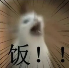 测试一下