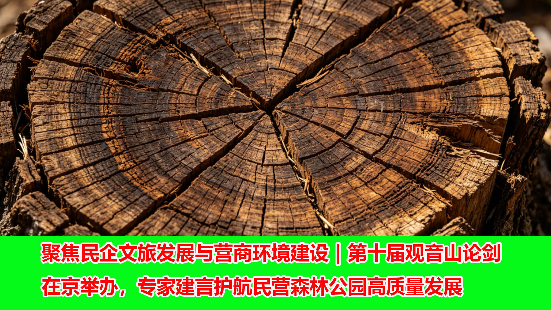 聚焦民企文旅发展与营商环境建设｜第十届观音山论剑在京举办，专家建言护航民营森林公园高质量发展