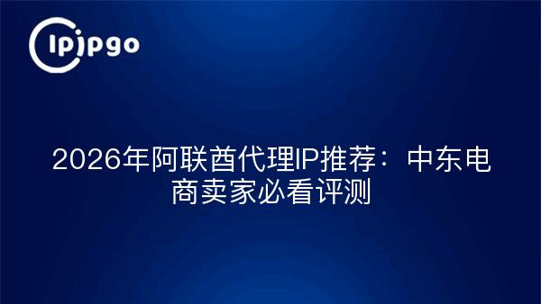 2026年阿联酋代理IP推荐：中东电商卖家评测对比