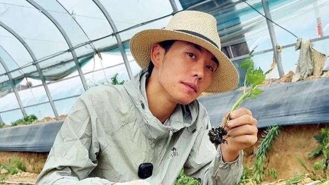 演员没戏，回家种地：横店变“空店”，谁在砸这行几万人的饭碗？