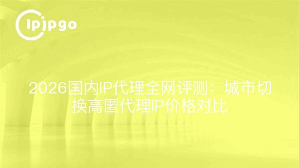 2026国内IP代理全网评测：城市切换高匿代理IP价格对比