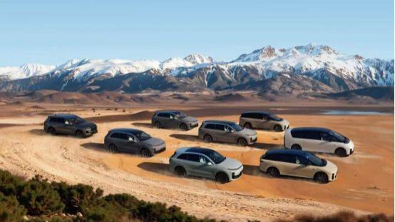 连续三年盈利，理想熬过了最卷的一年