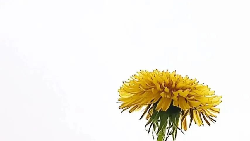 随笔：我干杯，你随意（三章）