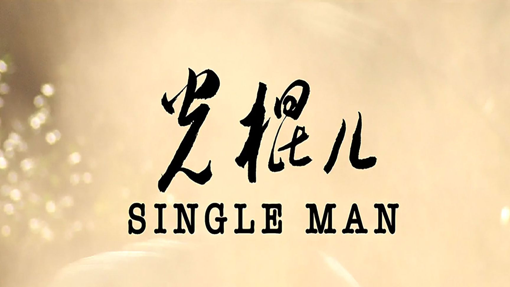 《光棍儿》光棍儿愁，光棍儿烦，光棍儿的生活不简单。