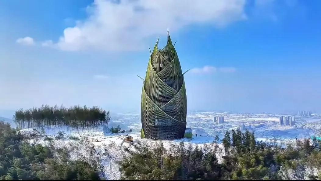 去桃江竹海，邂逅一场绿色浪漫