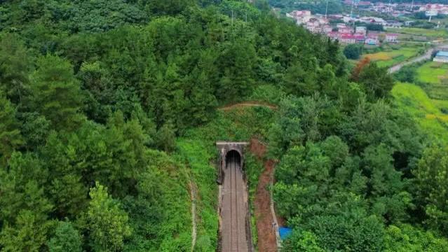 我问AI问题 结果AI给出的答案竟然出自我自己写的文章